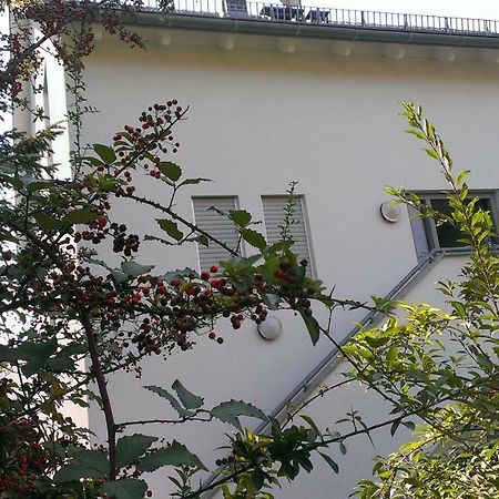 Appartamento Petite Bellevue II Baden-Baden Esterno foto